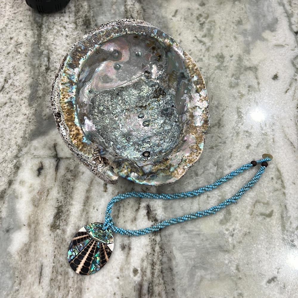 Albalone Pua  Shell and teal beaded necklace beautiful iridescence